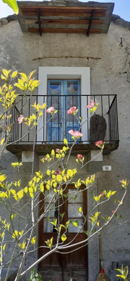 Villa Ca Betulla Novate Mezzola Exterior foto